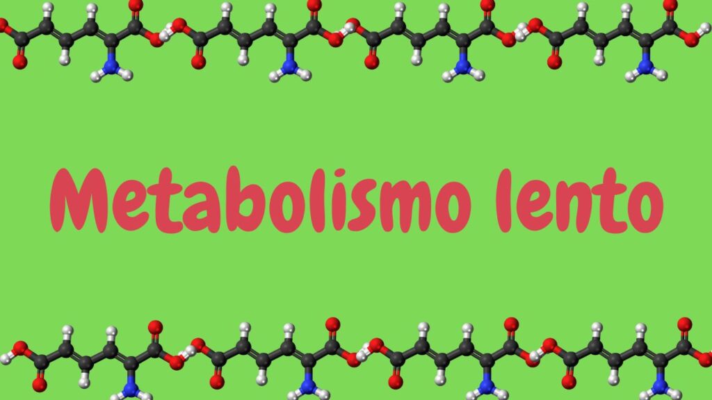 Metabolismo lento: ecco come farlo ripartire con questi consigli pratici