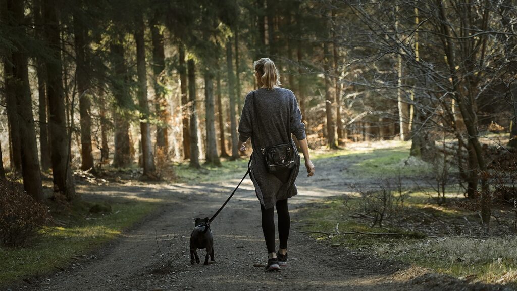 passeggiare in mezzo alla natura