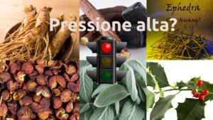 Non mangiare queste erbe aromatiche se soffri di pressione alta: ecco la lista