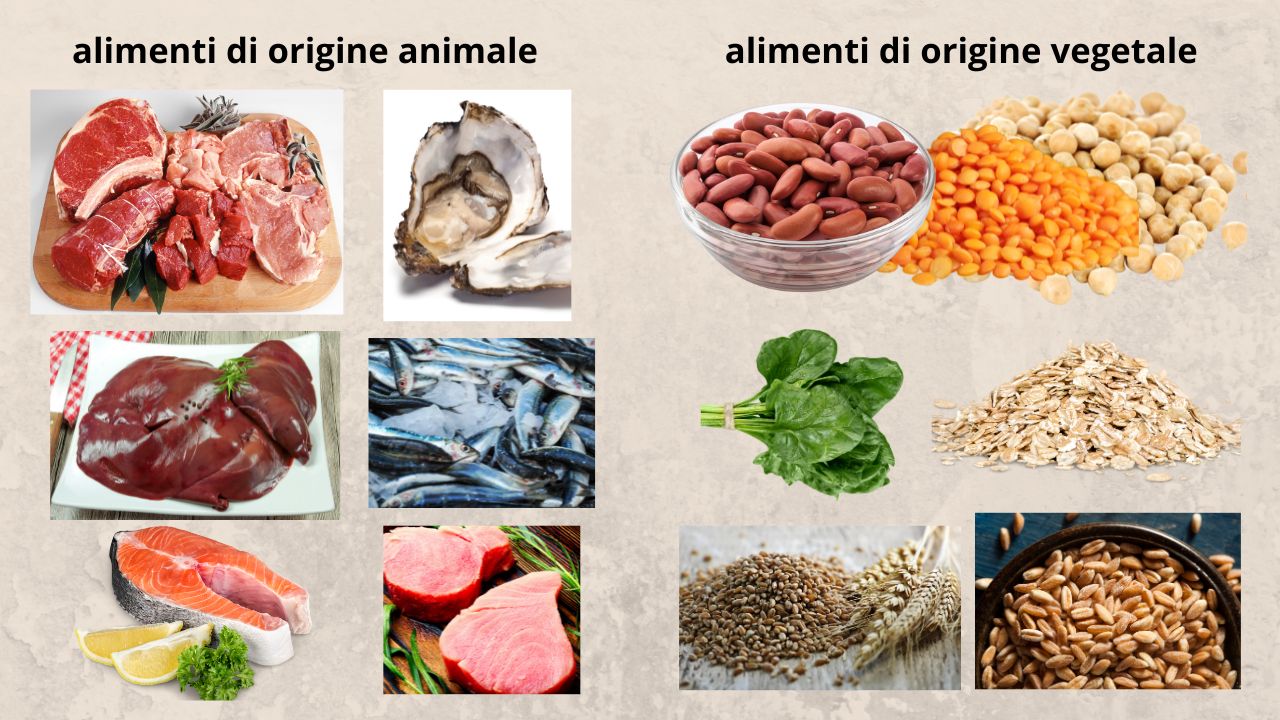 Quali sono gli alimenti che contengono più ferro?