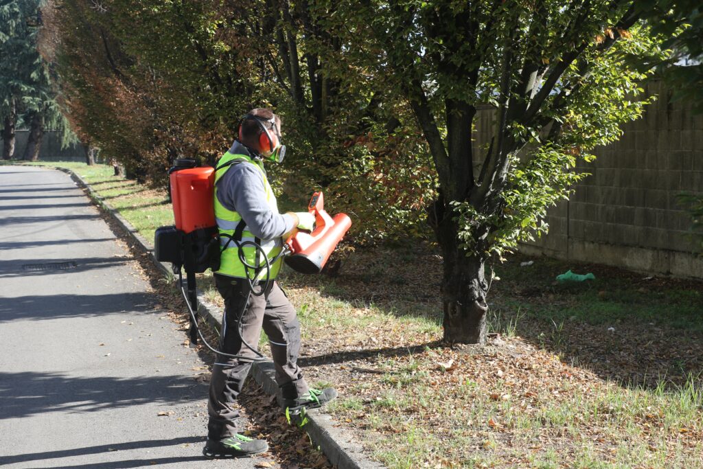 disinfestazione zanzare