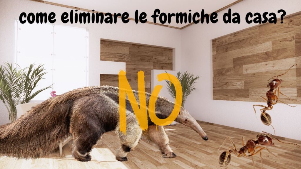 Come eliminare le formiche da casa con metodi naturali