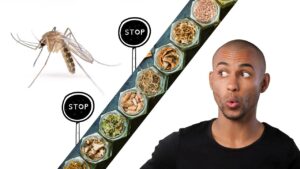 Punture di zanzara: scopri le erbe medicinali per prevenirle