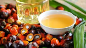 L’olio di palma fa male alla salute? Tutto quello che devi sapere