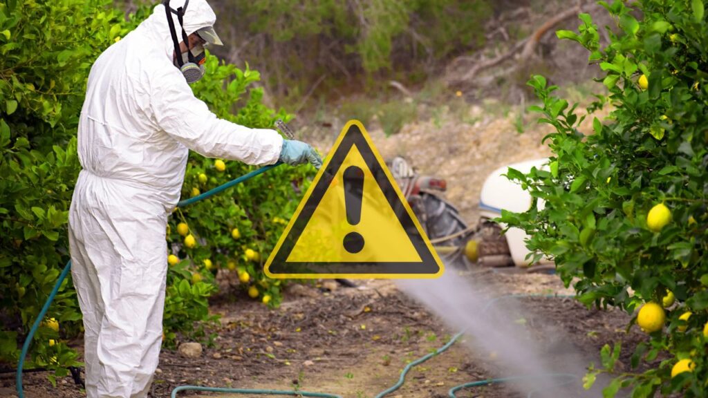 Come rimuovere i pesticidi dalla frutta prima di mangiarla