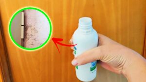 Come usare l’acqua ossigenata per togliere la muffa in casa