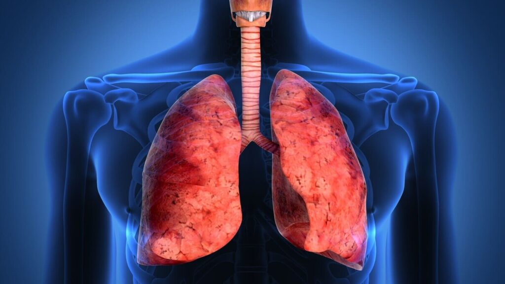 Fibrosi cistica: quali sono i primi segnali d’allarme?