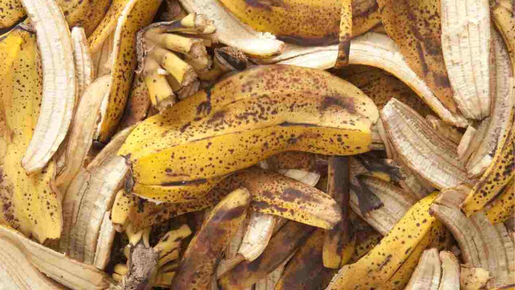 Tutti i modi creativi per riutilizzare le bucce di banana