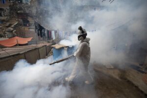 In Perù è emergenza Dengue: cosa devi sapere su questa malattia