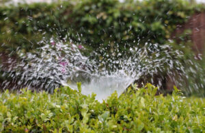 Pompe per acqua: caratteristiche e funzioni