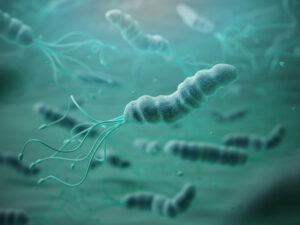 Sintomi precoci di Helicobacter pylori: quando intervenire