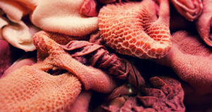 Le frattaglie fanno bene (e costano poco): ecco perché riscoprirle