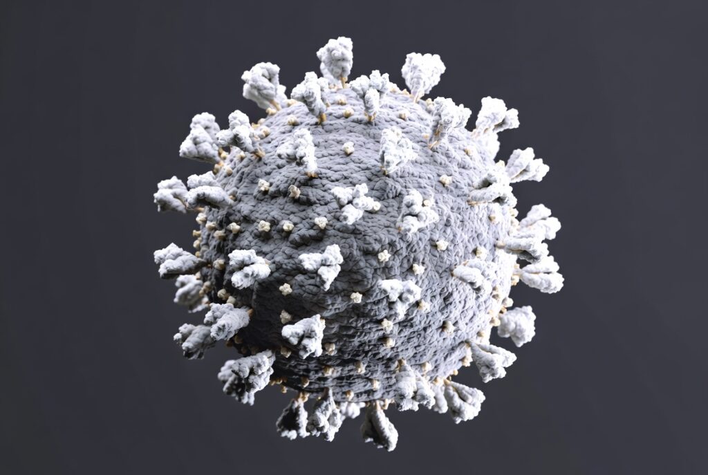 Vaiolo delle scimmie