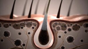 Capelli grigi, la scoperta: non è solo l’età a spegnere il colore