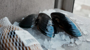 Cozze e epatite A: come riconoscere quelle sicure dopo i 180 casi in Campania