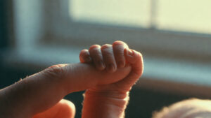 Nanoplastiche nella placenta e negli organi: l’allarme