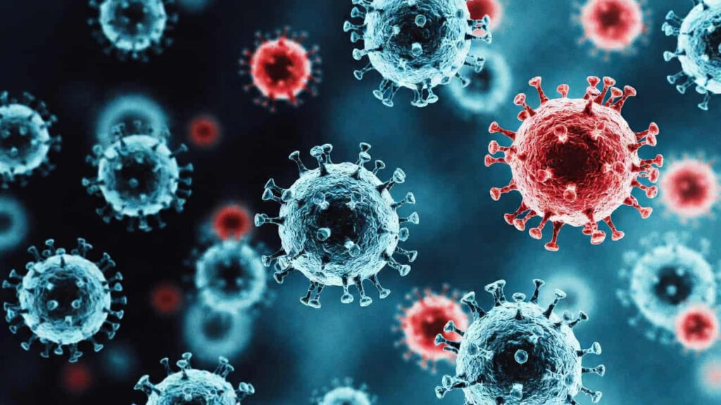 17mila contagi e 40 morti per morbillo in Messico: cosa sta succedendo?