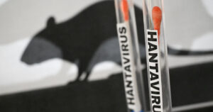 Hantavirus: “nessun vaccino e nessuna cura efficace”