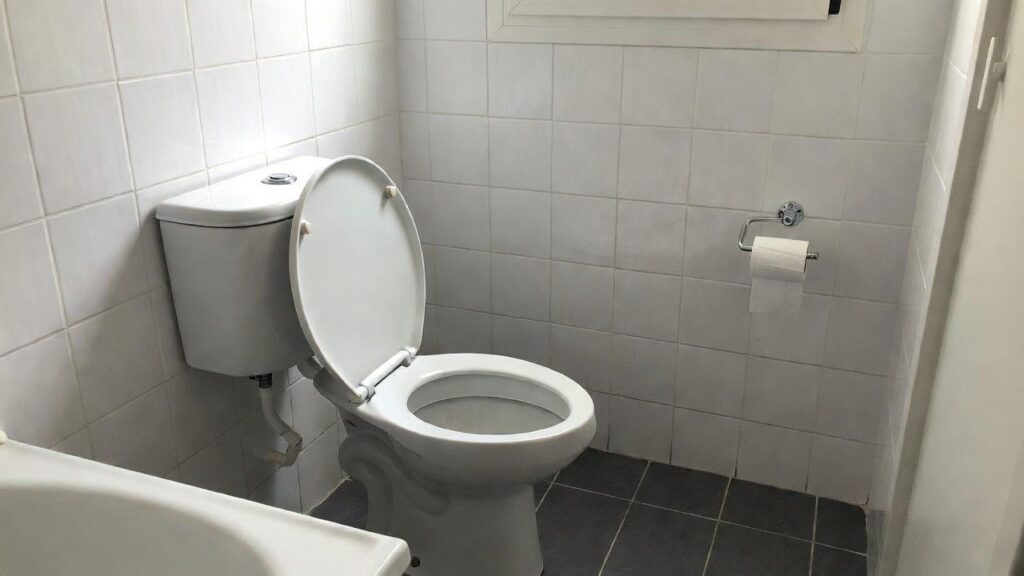 Gli uomini dovrebbero urinare seduti? Cosa dice la scienza