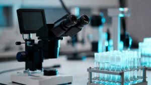Il fegato scambia il grasso per un virus e si attacca da solo: cosa hanno visto in laboratorio
