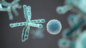 Spenta la proteina dell’invecchiamento: nei topi vita più lunga fino al 25% e più sana