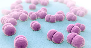 Meningococco B, quasi 1,8 milioni di giovani senza protezione completa: l’allarme dei pediatri